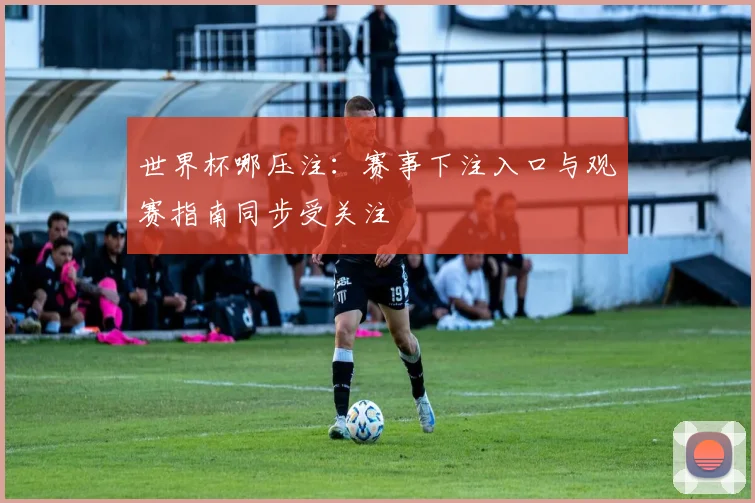世界杯哪压注：赛事下注入口与观赛指南同步受关注