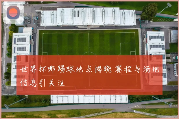 世界杯哪踢球地点揭晓 赛程与场地信息引关注