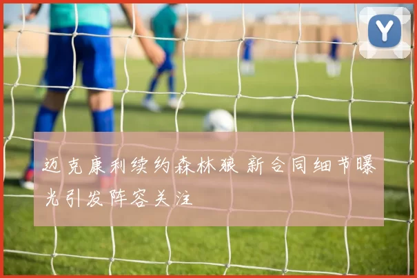 迈克康利续约森林狼 新合同细节曝光引发阵容关注